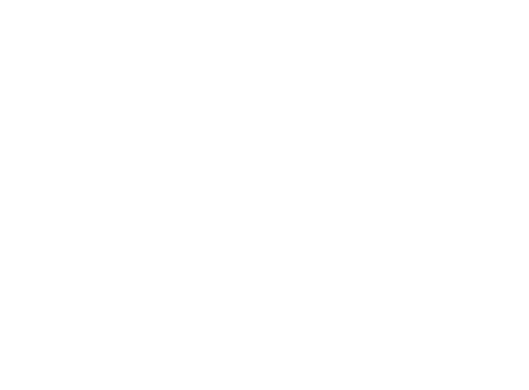 Ingessa logo